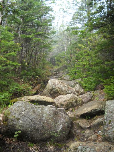 Glen Ridge Trail